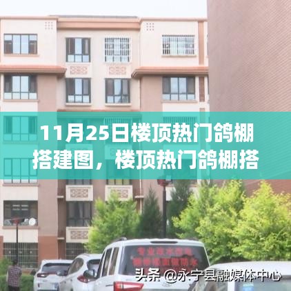 多角度审视下的热门鸽棚搭建图，楼顶鸽棚搭建观点碰撞纪实