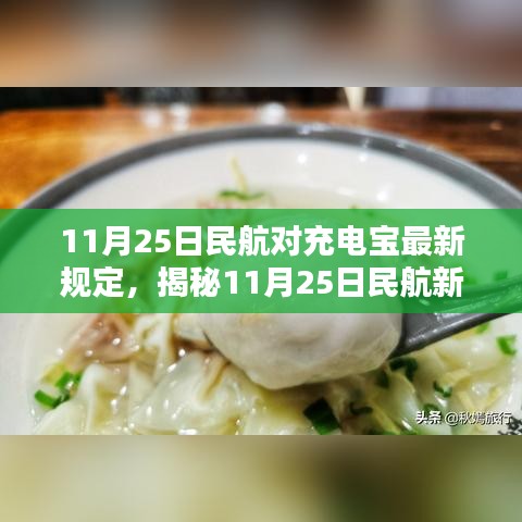 揭秘，最新民航充电宝规定下的隐藏特色小店探索指南（11月25日更新）