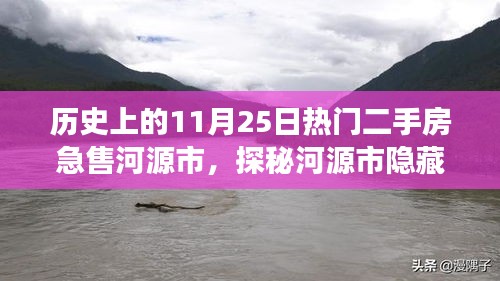 探秘河源市二手房急售故事，小巷风情与11月25日的独特奇遇