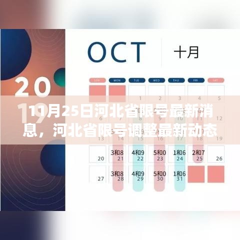 河北省限号调整最新动态及背后故事与深远影响（11月25日更新）