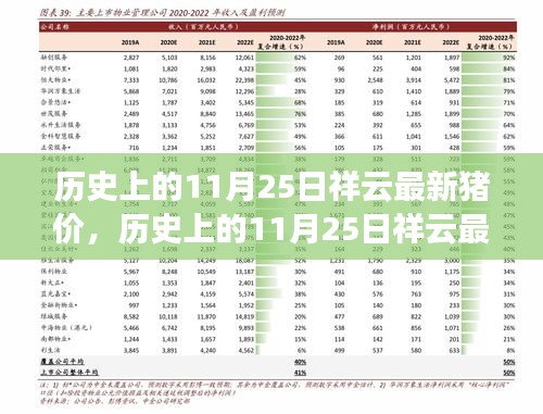 历史上的11月25日祥云猪价回顾与洞察，最新价格揭秘