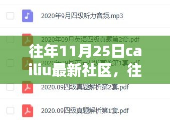 往年11月25日Cailiu社区最新产品与全面评测介绍