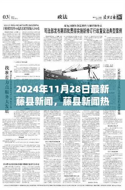 藤县新闻热议，2024年11月28日最新动态与观点论述