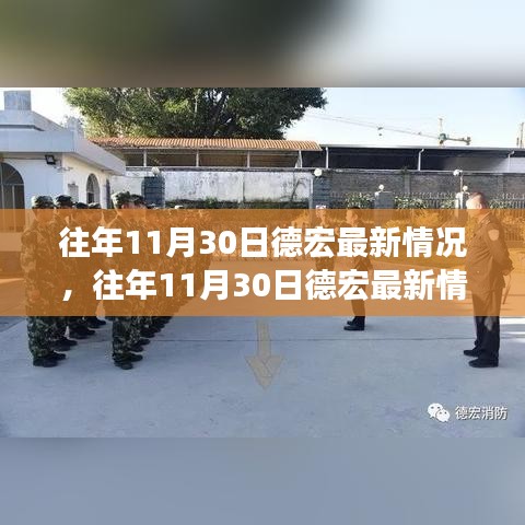 往年11月30日德宏最新情况深度解析报告，最新动态与深度分析