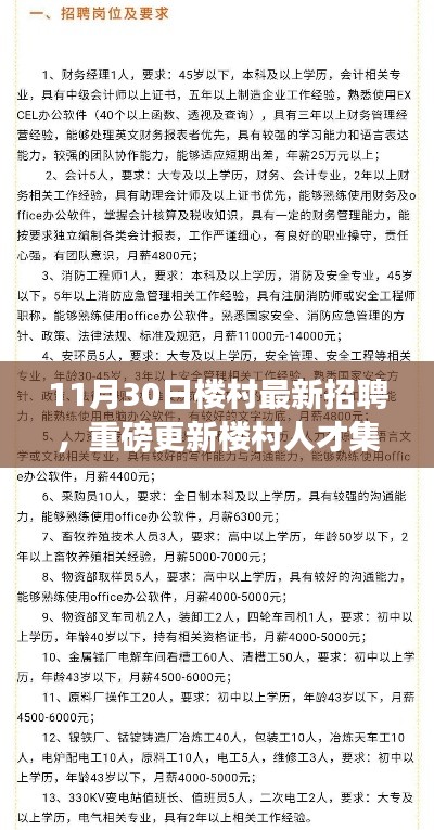 11月30日楼村人才集结，最新招聘信息全揭秘