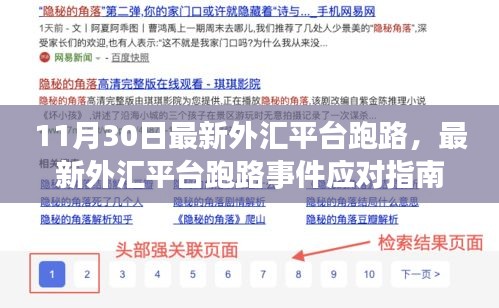 最新外汇平台跑路事件应对指南，保护资金安全，规避风险损失