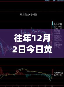 往年12月2日黄金走势回顾与未来展望，最新分析与预测报告发布在即！