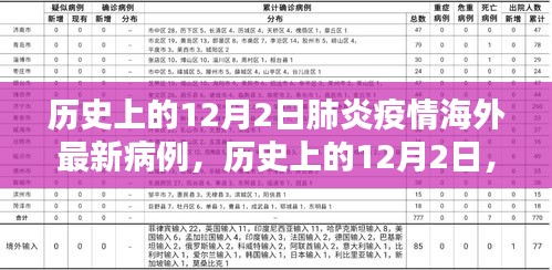 历史上的12月2日全球肺炎疫情海外最新病例深度透视与观点阐述