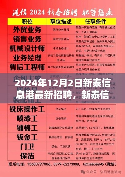 2024年12月2日新泰信息港最新招聘，新泰信息港最新招聘测评报告（2024年12月版）