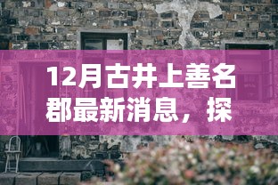 古井上善名郡最新动态揭秘，巷弄深处的独特风情与隐藏宝藏