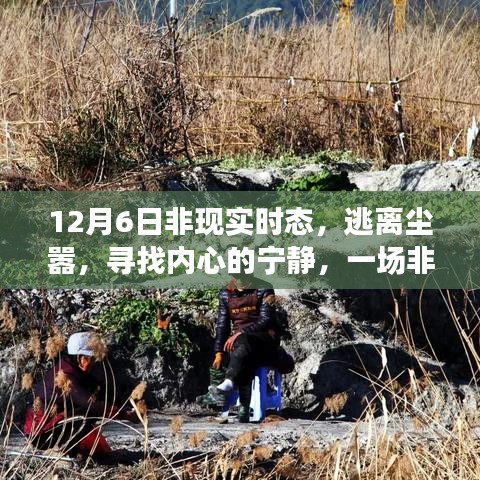 冬日非现实时态的心灵逃离之旅，寻找内心的宁静