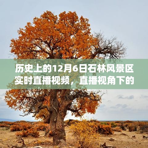 透过历史看石林，直播视角下的启示与风景区的今日面貌