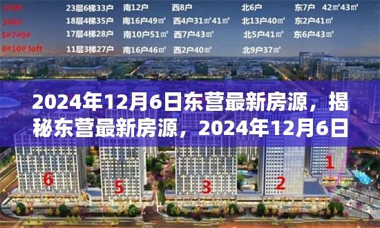 揭秘东营最新房源，置业新机遇来临，2024年12月6日最新房源一览