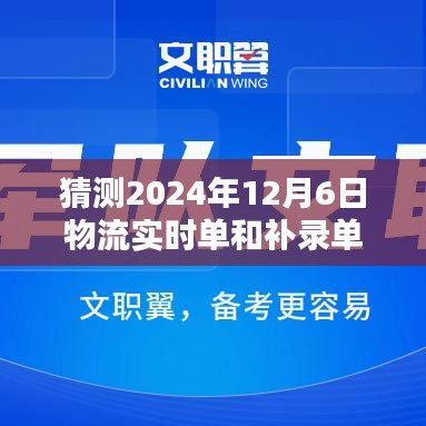 深度评测，预测与解析2024年12月6日物流实时单与补录单系统——特性、体验、竞品对比及用户群体洞察