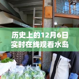 历史上的水岛变迁，在线观看塑造自信与成就之路