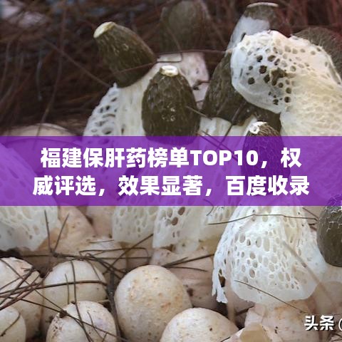 福建保肝药榜单TOP10，权威评选，效果显著，百度收录标准标题