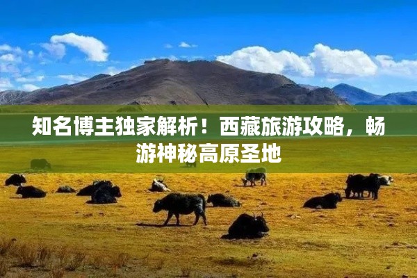 知名博主独家解析！西藏旅游攻略，畅游神秘高原圣地