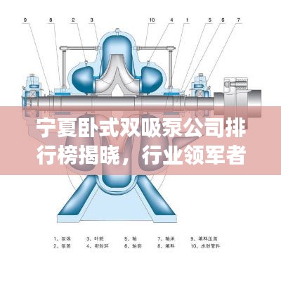 宁夏卧式双吸泵公司排行榜揭晓，行业领军者榜单重磅出炉！