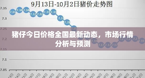 猪仔今日价格全国最新动态，市场行情分析与预测