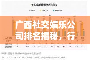 广西社交娱乐公司排名揭秘，行业深度分析与趋势预测